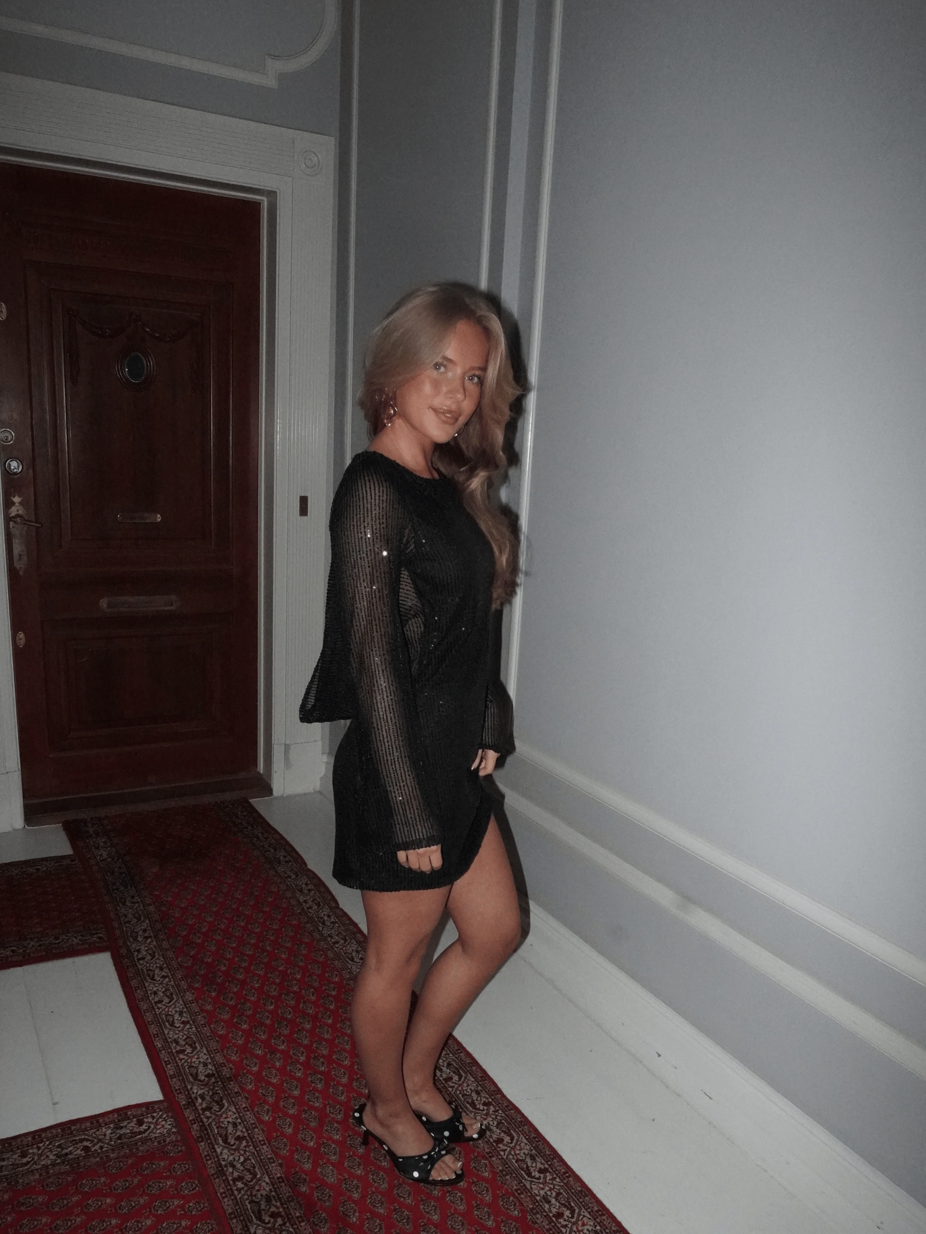 Miniaturebillede 9